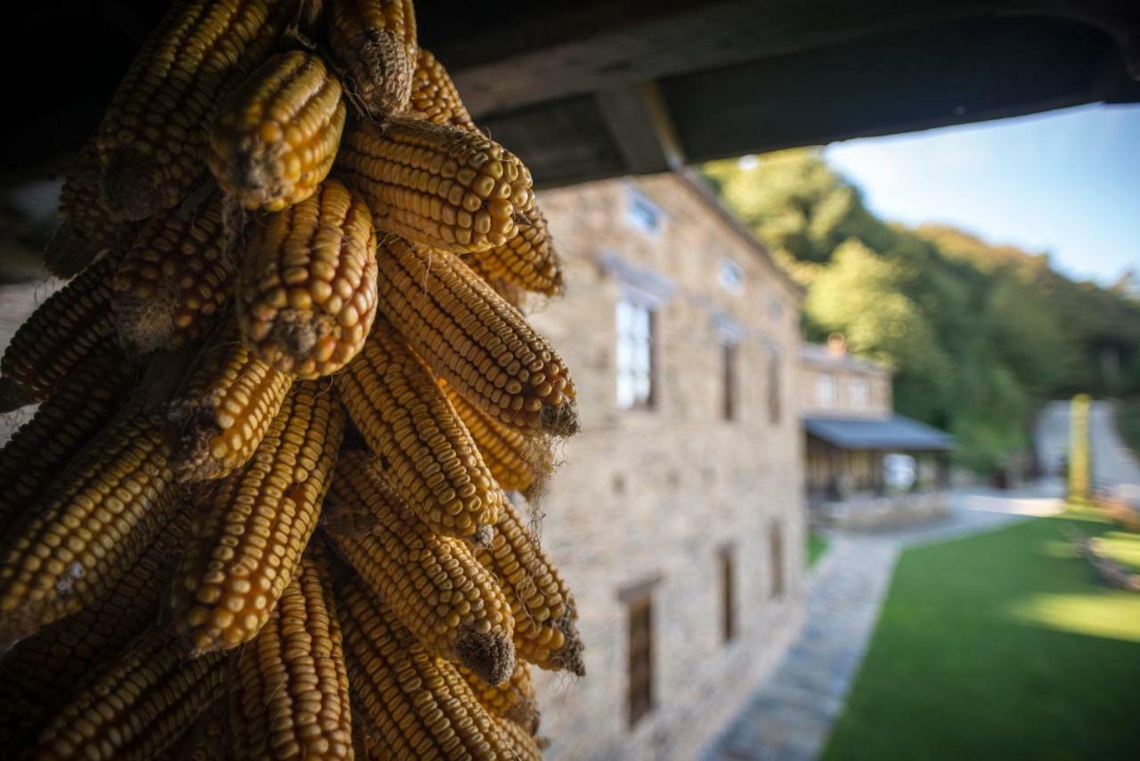 Complejo Rural Casona De Labrada 빌라 외부 사진